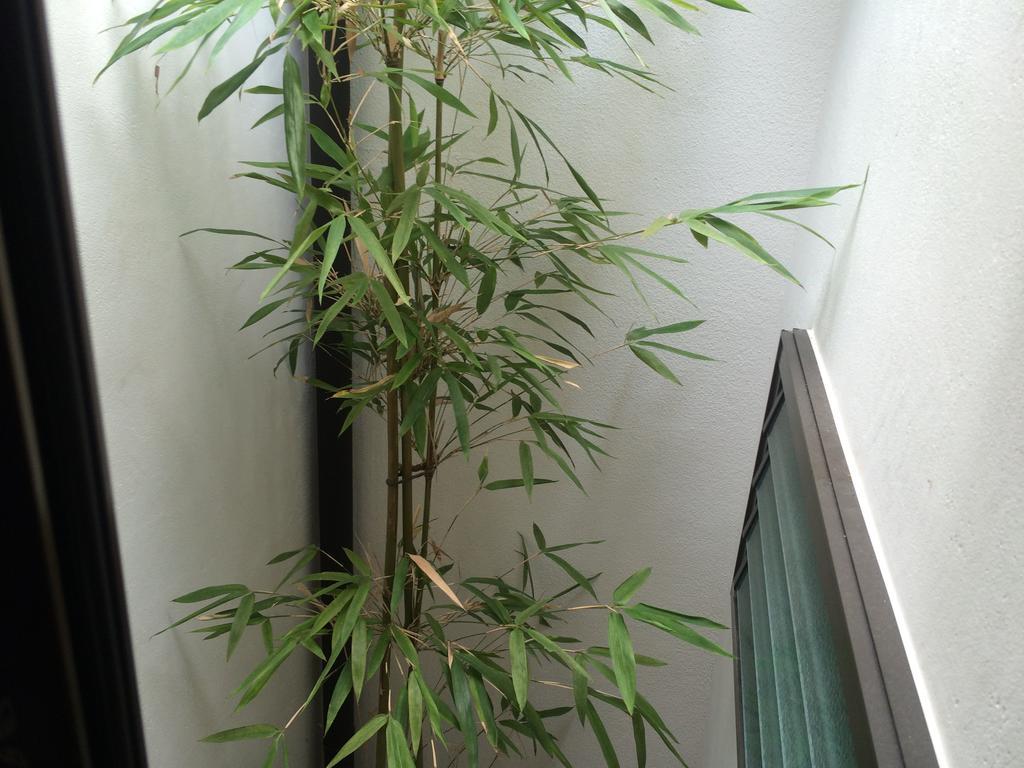קיוטו Hananoya Bettei מראה חיצוני תמונה